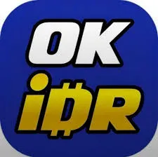 OKIDR - Petualangan Menarik di Dunia yang Tak Terduga